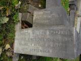 image of grave number 171161
